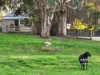 22 Nason Street, Korumburra, Vic 3950-Image