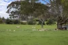 22 Thompsons Road, Hamilton, Vic 3300-Image