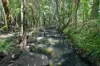 220 Dulong Road, Dulong, Qld 4560-Image