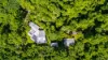 220 Ellis Road, Bellenden Ker, Qld 4871-Image