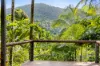 220 Ellis Road, Bellenden Ker, Qld 4871-Image