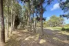 221 Helms Drive, Pink Lake, WA 6450-Image