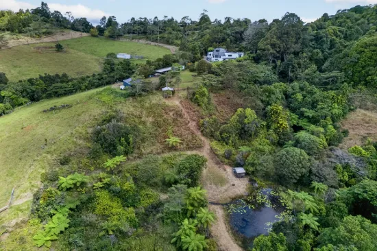 221 Hitchconole Road, Tarzali, Qld 4885