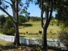 224 Brights Road, Nanango, Qld 4615-Image