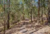 226 Berrigans Road, Mudgeeraba, Qld 4213-Image