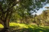 226 Sugars Road, Anstead, Qld 4070-Image