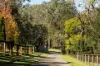 226 Sugars Road, Anstead, Qld 4070-Image