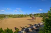 226 Tandur Traveston Road, Traveston, Qld 4570-Image
