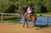 226 Tandur Traveston Road, Traveston, Qld 4570-Image