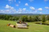 226 Tandur Traveston Road, Traveston, Qld 4570-Image