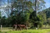 227 Little Jilliby Road, Jilliby, NSW 2259-Image