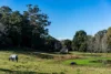 227 Little Jilliby Road, Jilliby, NSW 2259-Image