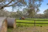 228 Bundilla Road, Cambrai, SA 5353-Image