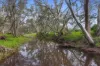 228 Bundilla Road, Cambrai, SA 5353-Image