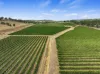 229 Neagles Rock Road, Clare, SA 5453-Image