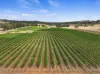 229 Neagles Rock Road, Clare, SA 5453-Image