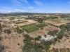 229 Neagles Rock Road, Clare, SA 5453-Image