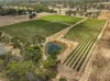 229 Neagles Rock Road, Clare, SA 5453-Image