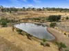 229 Neagles Rock Road, Clare, SA 5453-Image