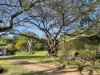 22B Palomino Avenue, Tolga, Qld 4882-Image