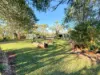 22B Palomino Avenue, Tolga, Qld 4882-Image