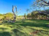 22B Palomino Avenue, Tolga, Qld 4882-Image