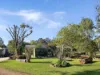 22B Palomino Avenue, Tolga, Qld 4882-Image