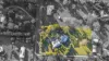 22B Palomino Avenue, Tolga, Qld 4882-Image
