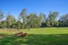 23-25 Kootenai Drive, Tamborine Mountain, Qld 4272-Image