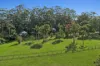 23-25 Kootenai Drive, Tamborine Mountain, Qld 4272-Image