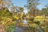 23-25 Studley Street, Londonderry, NSW 2753-Image