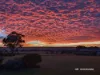 23 Clancys Drive, Inverell, NSW 2360-Image