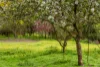 23 Shannons Road, Lancefield, Vic 3435-Image