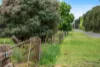 23 Shannons Road, Lancefield, Vic 3435-Image