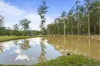 230 Browns Road, Mandalong, NSW 2264-Image