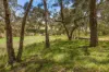 231 Grossmans Road, Torquay, Vic 3228-Image