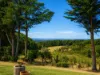 231 Red Hill Road, Red Hill South, Vic 3937-Image