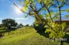 2312 Elsmore Road, Inverell, NSW 2360-Image