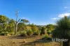 2312 Elsmore Road, Inverell, NSW 2360-Image
