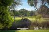 232 Kookaburra Way, Vasse, WA 6280-Image