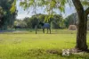 232 Kookaburra Way, Vasse, WA 6280-Image