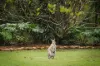 232B Sugars Road, Anstead, Qld 4070-Image