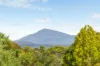 234 Princes Highway, Eden, NSW 2551-Image