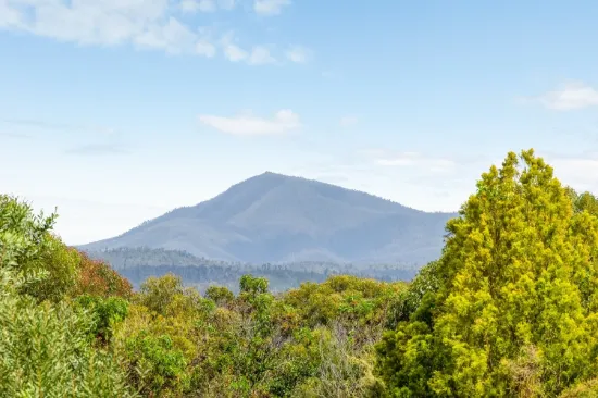 234 Princes Highway, Eden, NSW 2551-Image