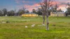 235 Nicholson Road, Cookernup, WA 6219-Image