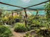 236 Gowrie Tilgonda Road, Gowrie Junction, Qld 4352-Image