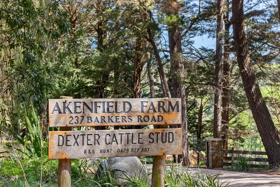 237 Barkers Road, Main Ridge, Vic 3928