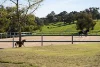 237 Mortimer Road, Nar Nar Goon North, Vic 3812-Image