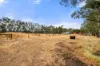 237 Young Road, Baldivis, WA 6171-Image
