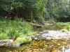 2371 Kalang Road, Bellingen, NSW 2454-Image